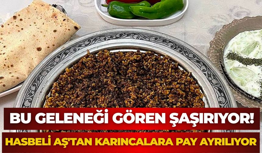 Şanlıurfa'da Bu Geleneği Gören Şaşırıyor! Hasbeli Aş'tan Karıncalara Pay Ayrılıyor