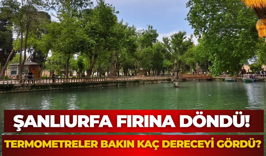 Şanlıurfa Fırına Döndü! Termometreler Bakın Kaç Dereceyi Gördü?
