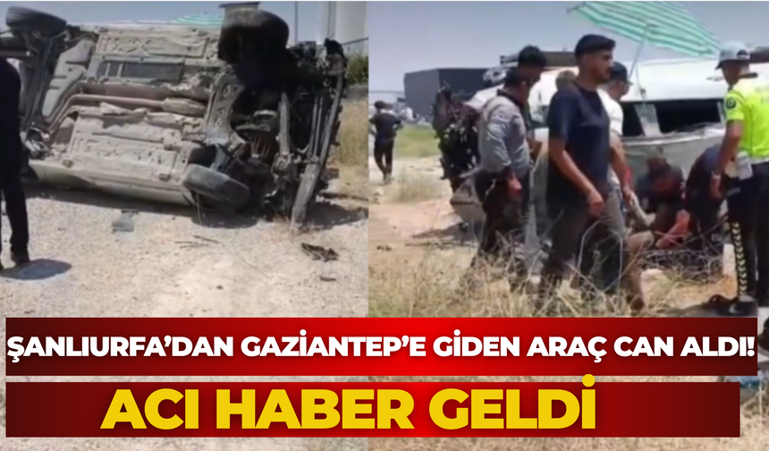 Şanlıurfa’dan Gaziantep’e Giden Araç Can Aldı! Acı Haber Geldi