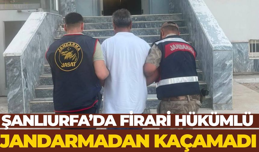 Şanlıurfa’da Firari Hükümlü Jandarmadan Kaçamadı