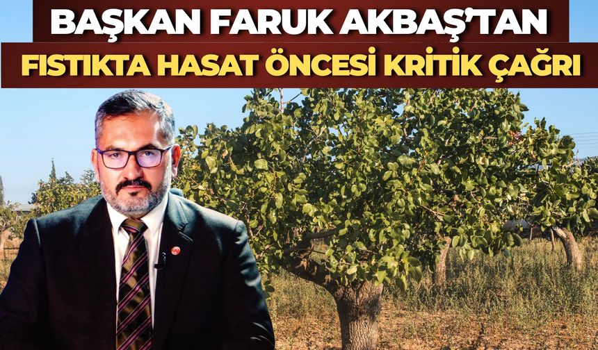 Başkan Faruk Akbaş’tan Yeni Hasat Öncesi Fıstık İthalatına Tepki