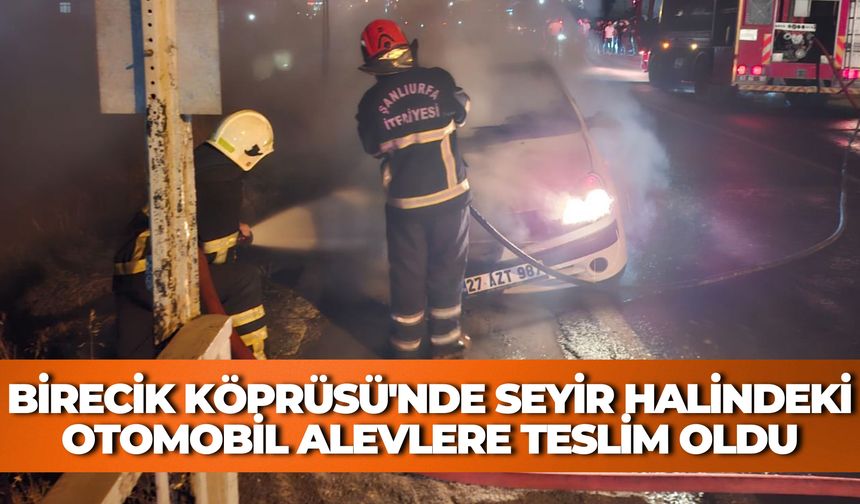 Birecik Köprüsü'nde Seyir Halindeki Otomobil Alevlere Teslim Oldu