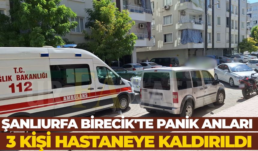 Şanlıurfa Birecik'te Panik Anları: 3 Kişi Hastaneye Kaldırıldı