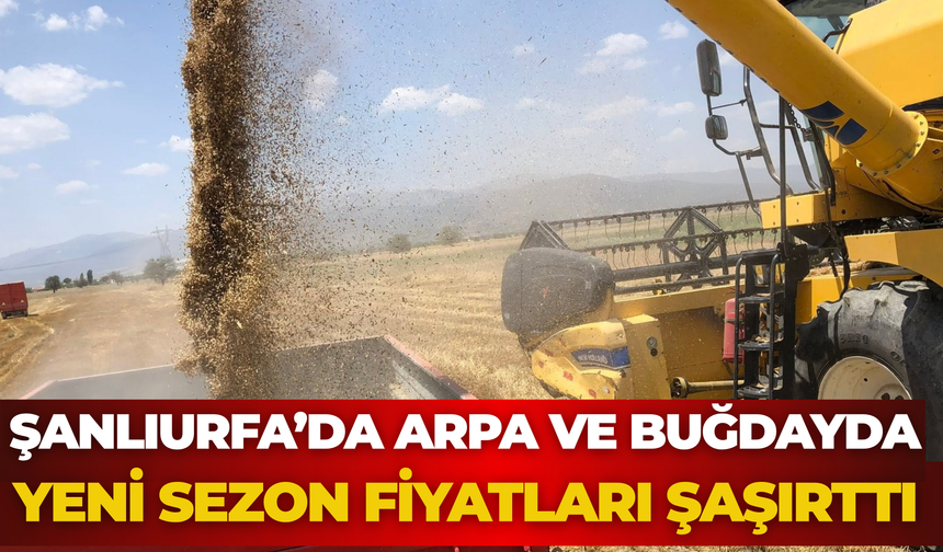 Şanlıurfa’da Arpa Ve Buğdayda Yeni Sezon Fiyatları Şaşırttı
