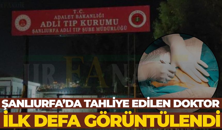 Şanlıurfa'da Tutuklanan Doktor Tahliye Edildi! Tabip Odası'nda Çiçeklerle Karşılandı