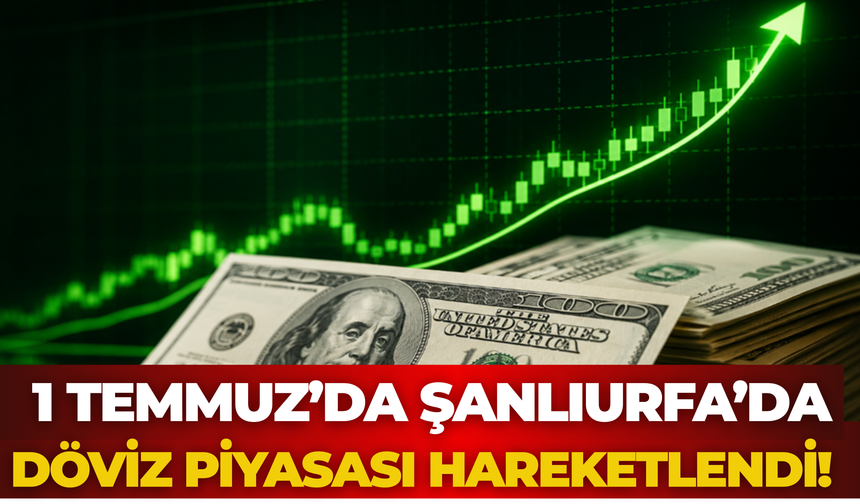 Dolar Kaç TL Oldu, Euro Ne Kadar? ( 1 Temmuz  Güncel Döviz Kurları)