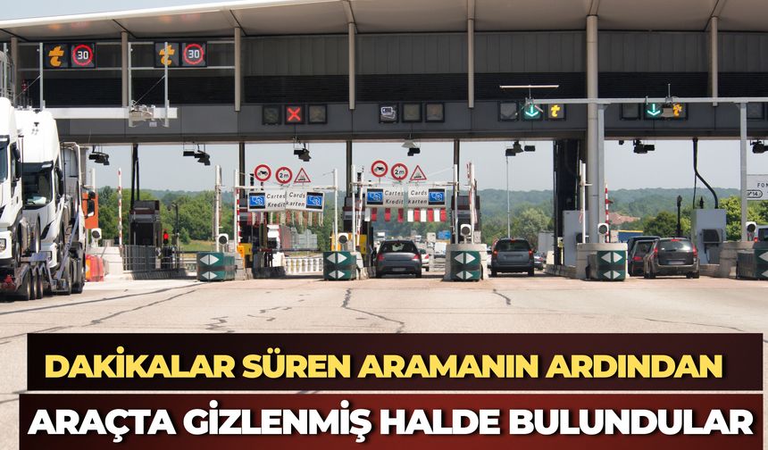 Edirne Sınır Kapısında 2 Vaşak ve 2 Serval Ele Geçirildi