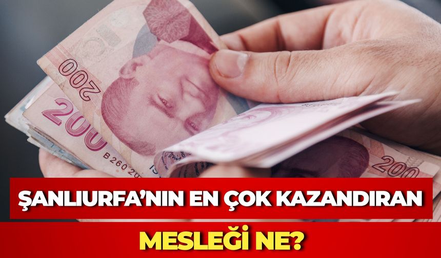 İl İl En Çok Kazandıran Meslekler Açıklandı: Şanlıurfa'da Zirvede Pamuk Tüccarlığı Var