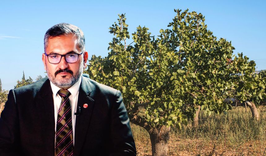 Başkan Faruk Akbaş’tan Yeni Hasat Öncesi Fıstık İthalatına Tepki