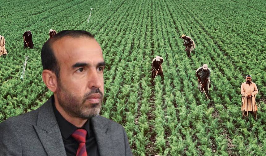 Milletvekili Şenyaşar Şanlıurfa’daki Mevsimlik Tarım İşçilerinin Sorunlarını TBMM Gündemine Taşıdı