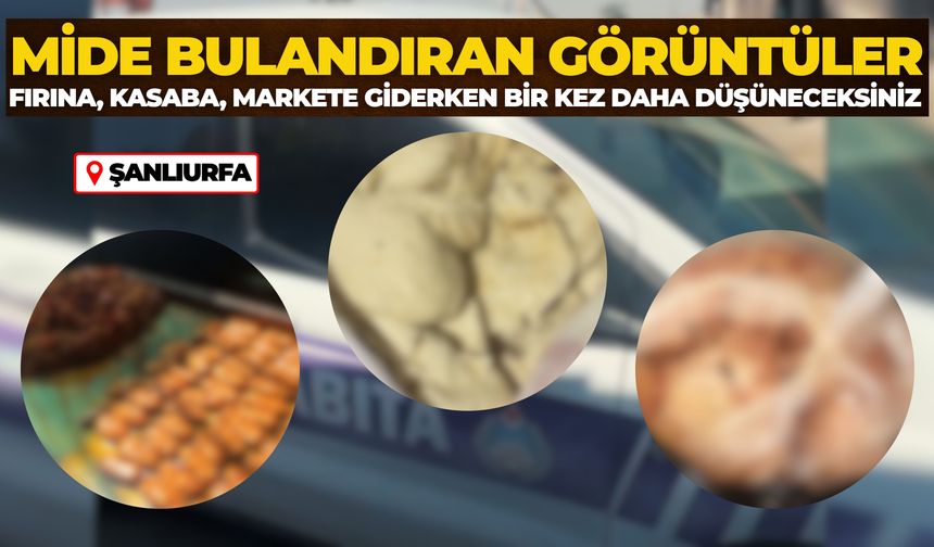 Eyyübiye’de Zabıta Denetimleri Sıkılaştı: Hijyen Koşulları Mercek Altında