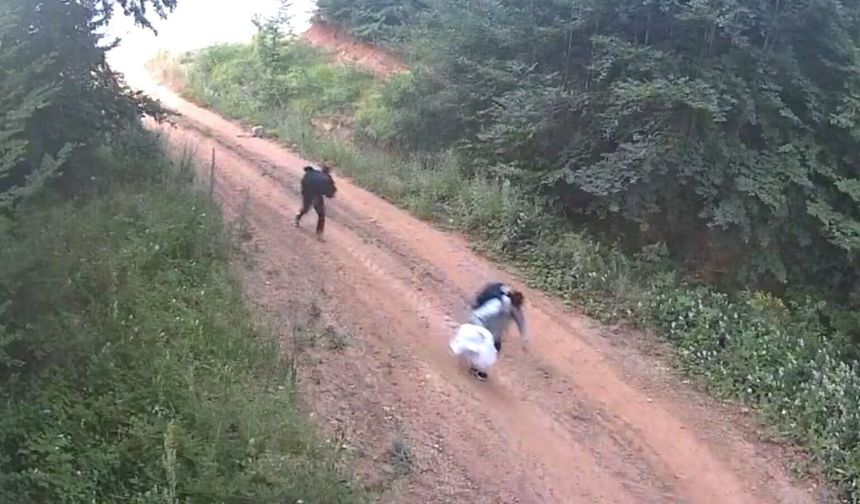 Jandarma Fotokapanlarla Suçluların Peşinde