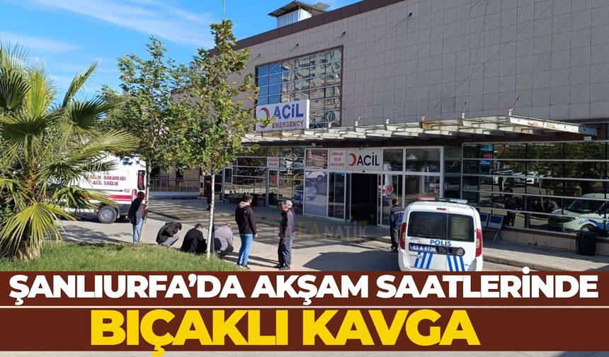 Şanlıurfa Halfeti'de Bıçaklı Kavga