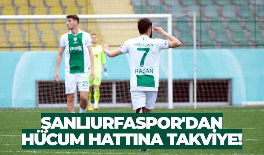 Hasan Ayaroğlu Şanlıurfaspor’da İddiası