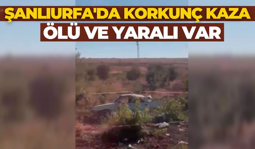 Şanlıurfa'da Korkunç Kaza: Ölü ve Yaralı Var
