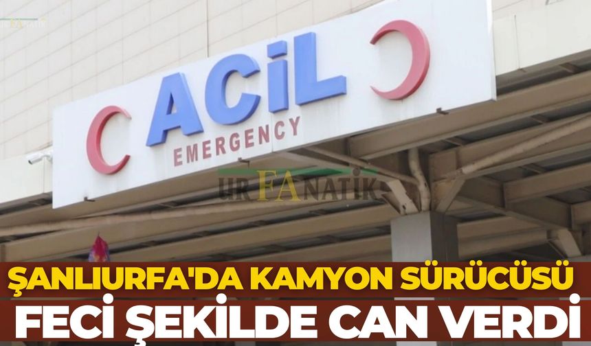 Şanlıurfa'da Kamyon Sürücüsü Feci Şekilde Can Verdi
