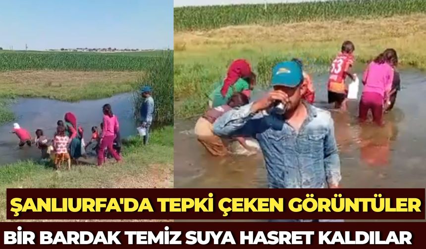 Milletvekili Mahmut Tanal'dan Harran'daki İçme Suyu Sorunu İçin Yetkililere Çağrı