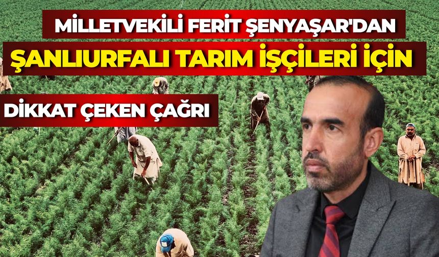 Milletvekili Şenyaşar Şanlıurfa’daki Mevsimlik Tarım İşçilerinin Sorunlarını TBMM Gündemine Taşıdı