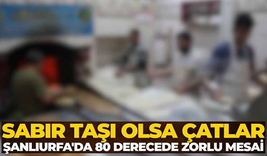 Şanlıurfa'da 50 Derece Sıcakta Ateşin Karşısında Ekmek Mücadelesi