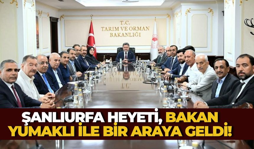 Ankara'dan Şanlıurfa'ya Müjde Çıkar mı? Kritik Görüşme Gerçekleşti!