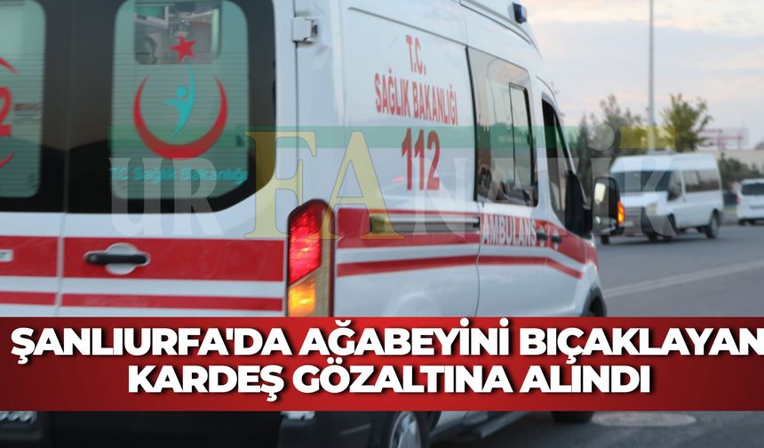 Şanlıurfa'da Ağabeyini Bıçaklayan Kardeş Gözaltına Alındı