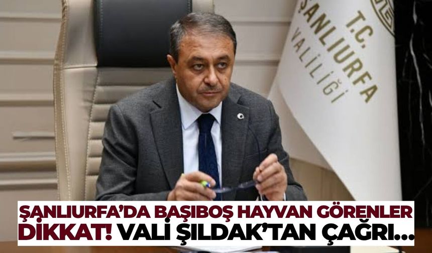Şanlıurfa’da Başıboş Hayvan Görenler Dikkat! Vali Şıldak’tan Çağrı…