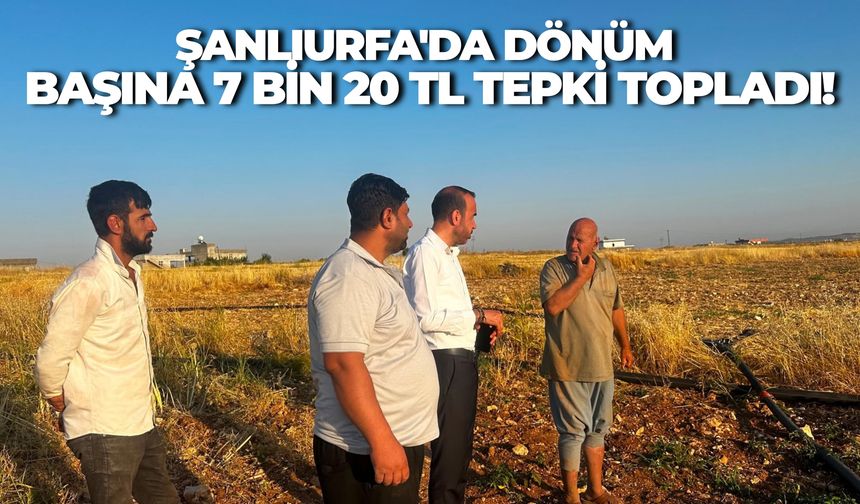 Şanlıurfa'da Dönüm Başına 7 Bin 20 TL Tepki Topladı!