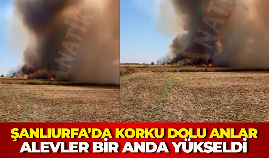 Şanlıurfa Suruç’ta Arazi Yangını