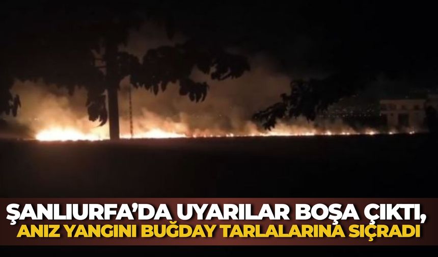 Şanlıurfa’da Uyarılar Dikkate Alınmadı, Anız Yangını Tarlalara Yayıldı