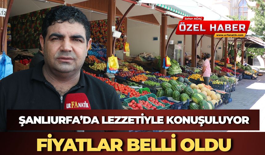 Şanlıurfa'da Yerli Sebze Sezonu Başladı: "Lezzette Tarla Ürünü Öne Çıkıyor"