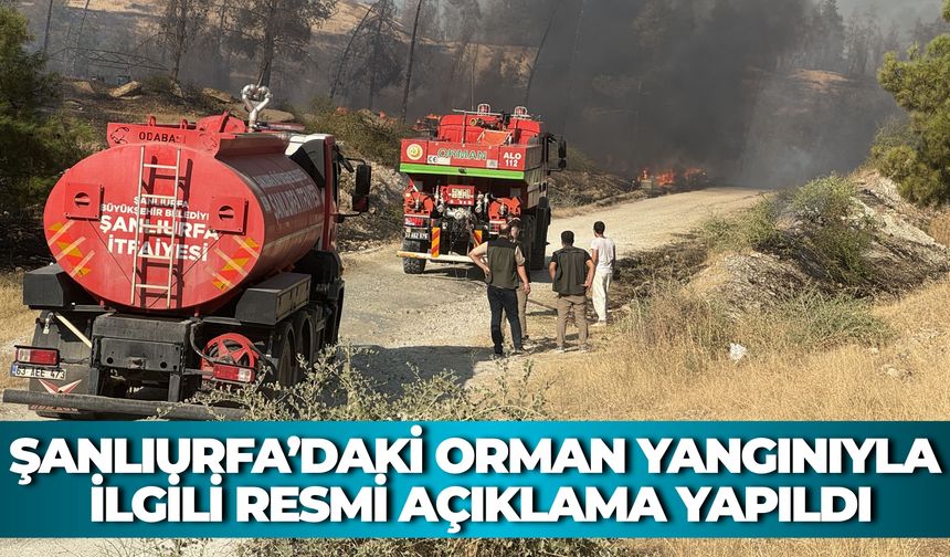 Şanlıurfa’daki Yangın Sonrası Büyükşehir ve Orman Bölge Müdürlüğü Açıklamada Bulundu