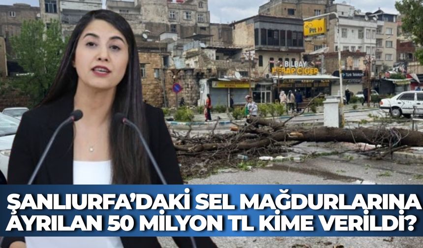 Şanlıurfa’daki Afetzedelere Verileceği Açıklanan 50 Milyon TL’lik Hibe Kimlere Verildi?