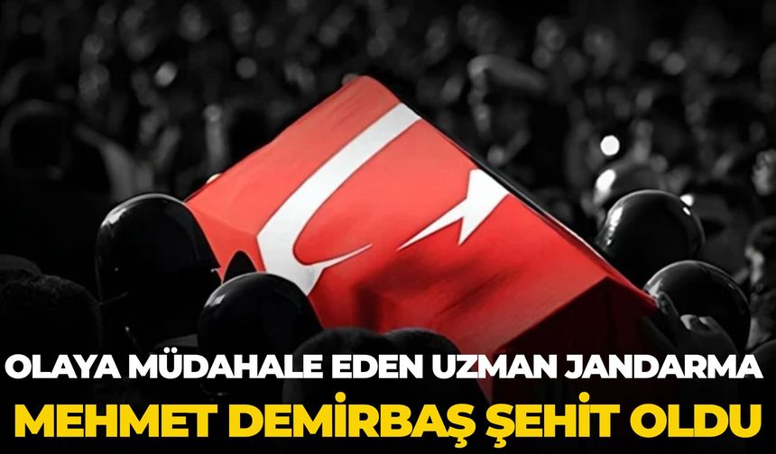 Olaya Müdahale Eden Uzman Jandarma Mehmet Demirbaş Şehit Oldu