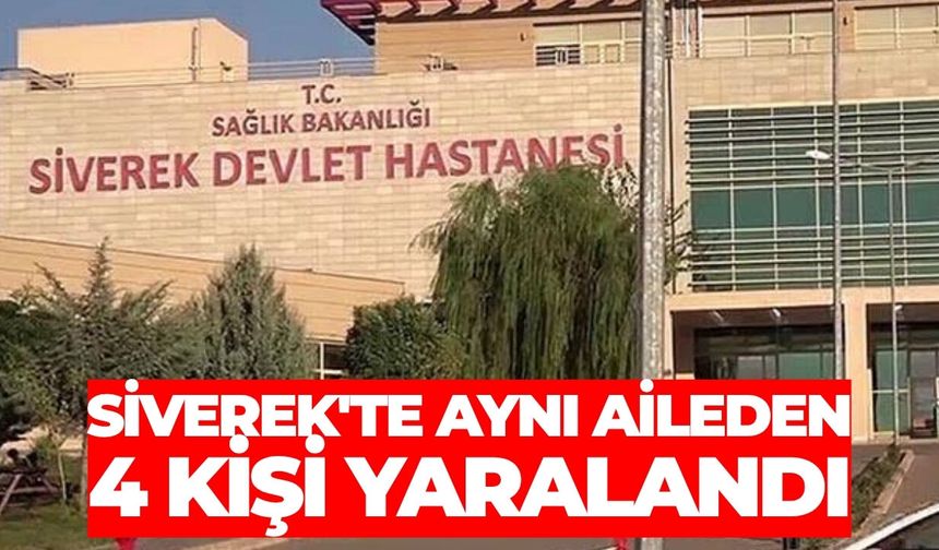Siverek’te Otomobil Şarampole Devrildi: Aynı Aileden 4 Kişi Yaralandı