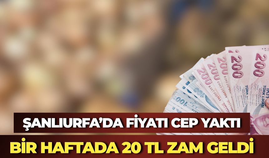 Şanlıurfa'da Soğan Fiyatları Cep Yakıyor: Bir Haftada 20 TL Zam