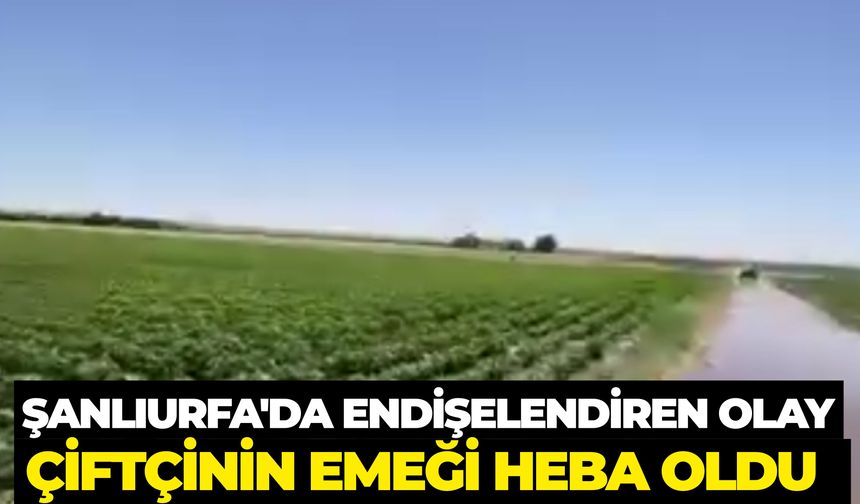 Şuruç’ta Sulama Hattı Patladı: Tarım Arazileri Sular Altında Kaldı