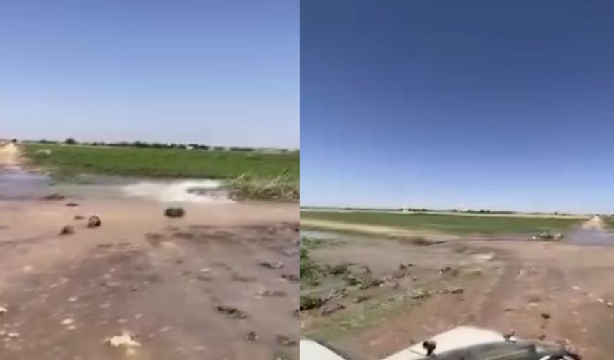 Şuruç’ta Sulama Hattı Patladı: Tarım Arazileri Sular Altında Kaldı