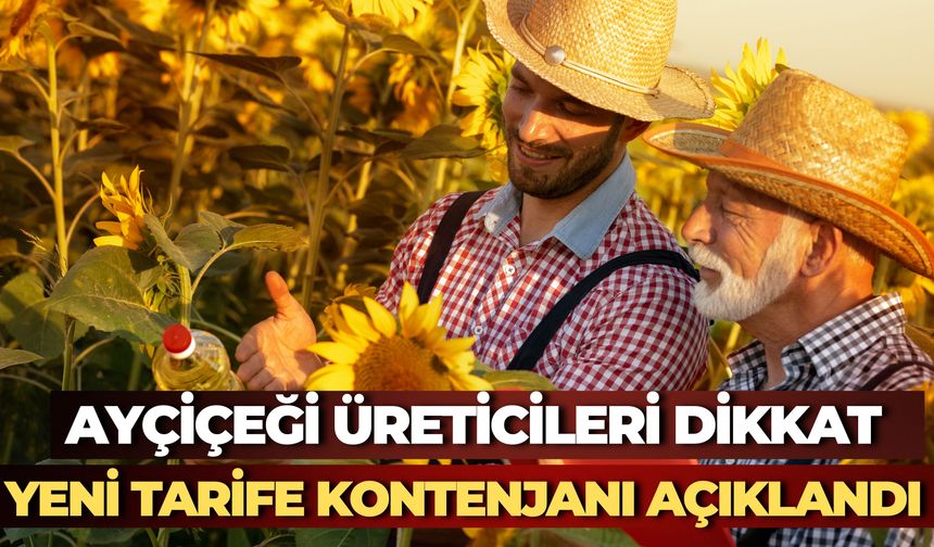 Ticaret Bakanlığı Duyurdu: Ayçiçeği Yağı İçin İthalat Takvimi Belli Oldu