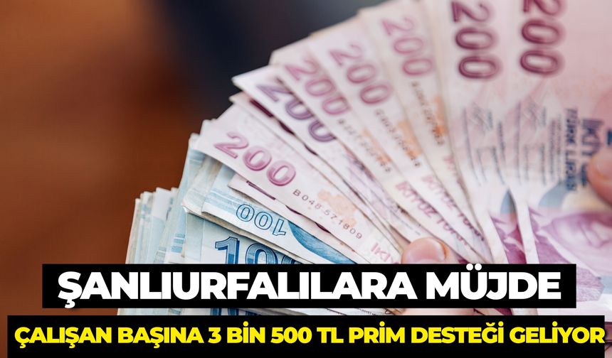 Turizm Sektöründe Çalışan Başına 3 Bin 500 TL Prim Desteği Geliyor
