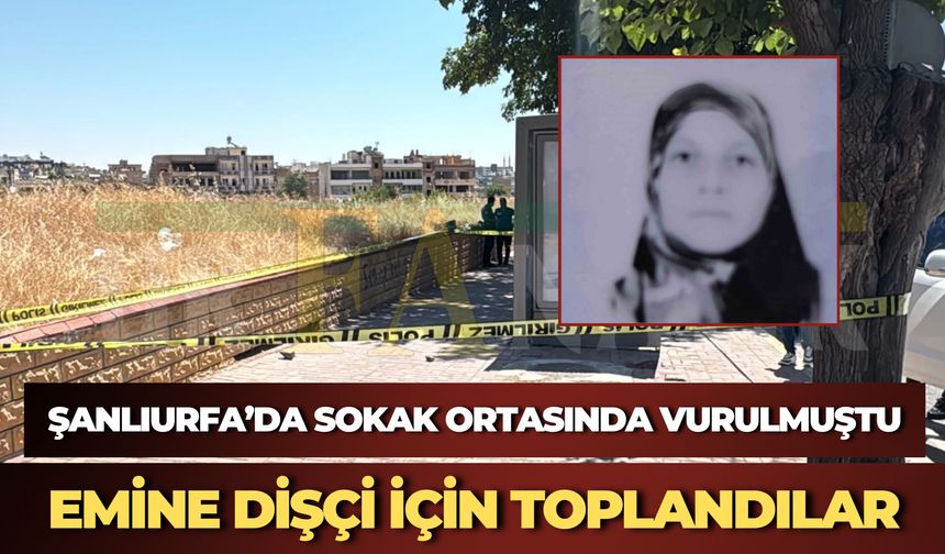 Urfa İl Kadın Platformu'ndan Emine Dişçi İçin Basın Açıklaması