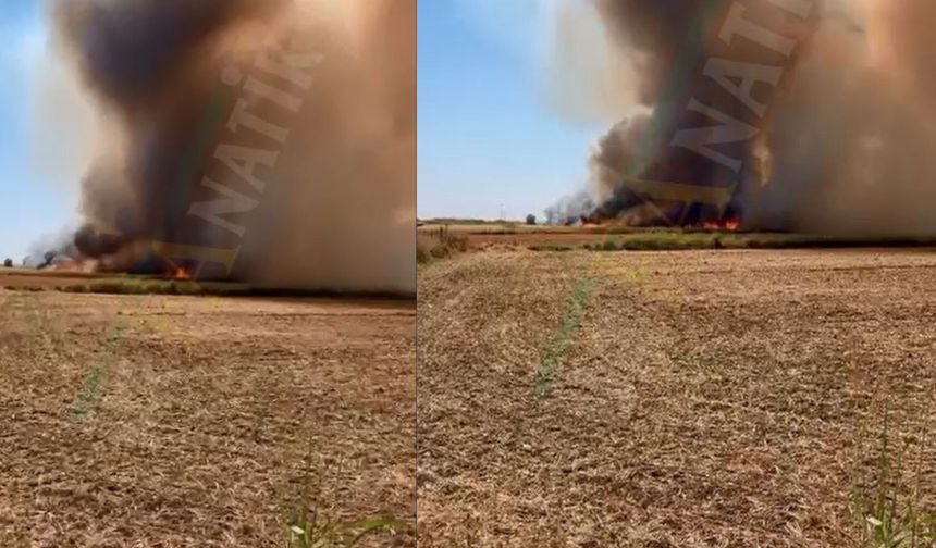 Şanlıurfa Suruç’ta Arazi Yangını