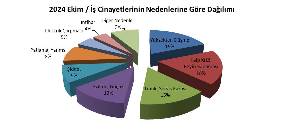 03Nedenler