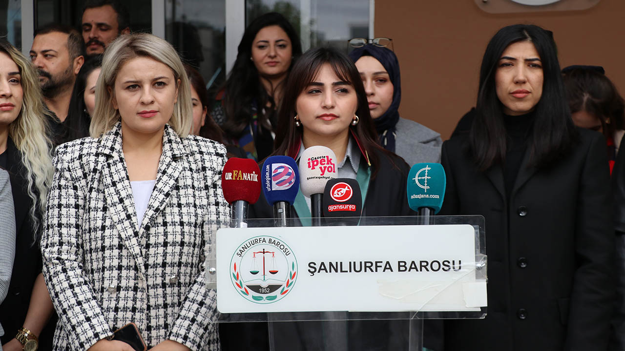 Avukat Cemile Şirin Kızılkaya 25 Kasım Kadına Yönelik Şiddete Karşı Uluslararası Mücadele Günü (1)