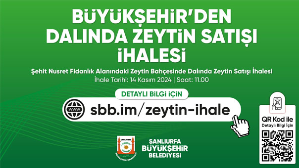 Büyükşehir’den Haliliye'de Dalında Zeytin Satışı Ihalesi-1