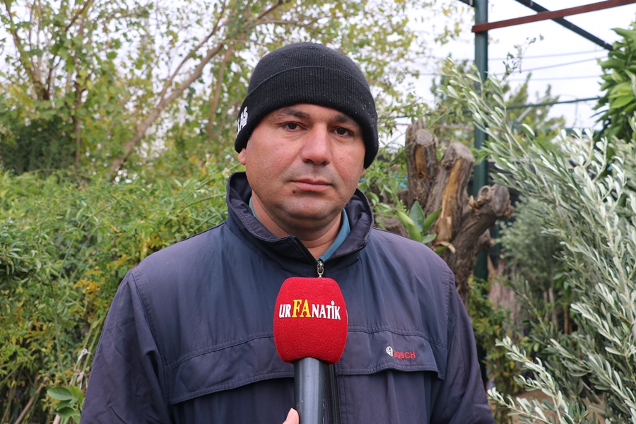 Mehmet Dönmezler