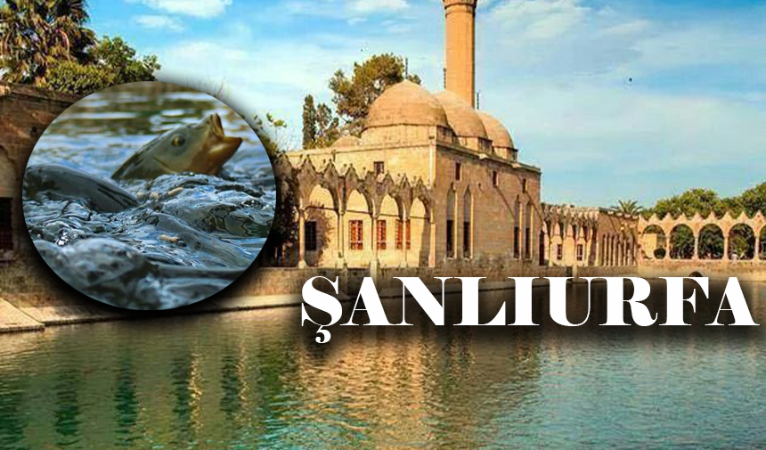 Şanlıurfa Balıklıgöl