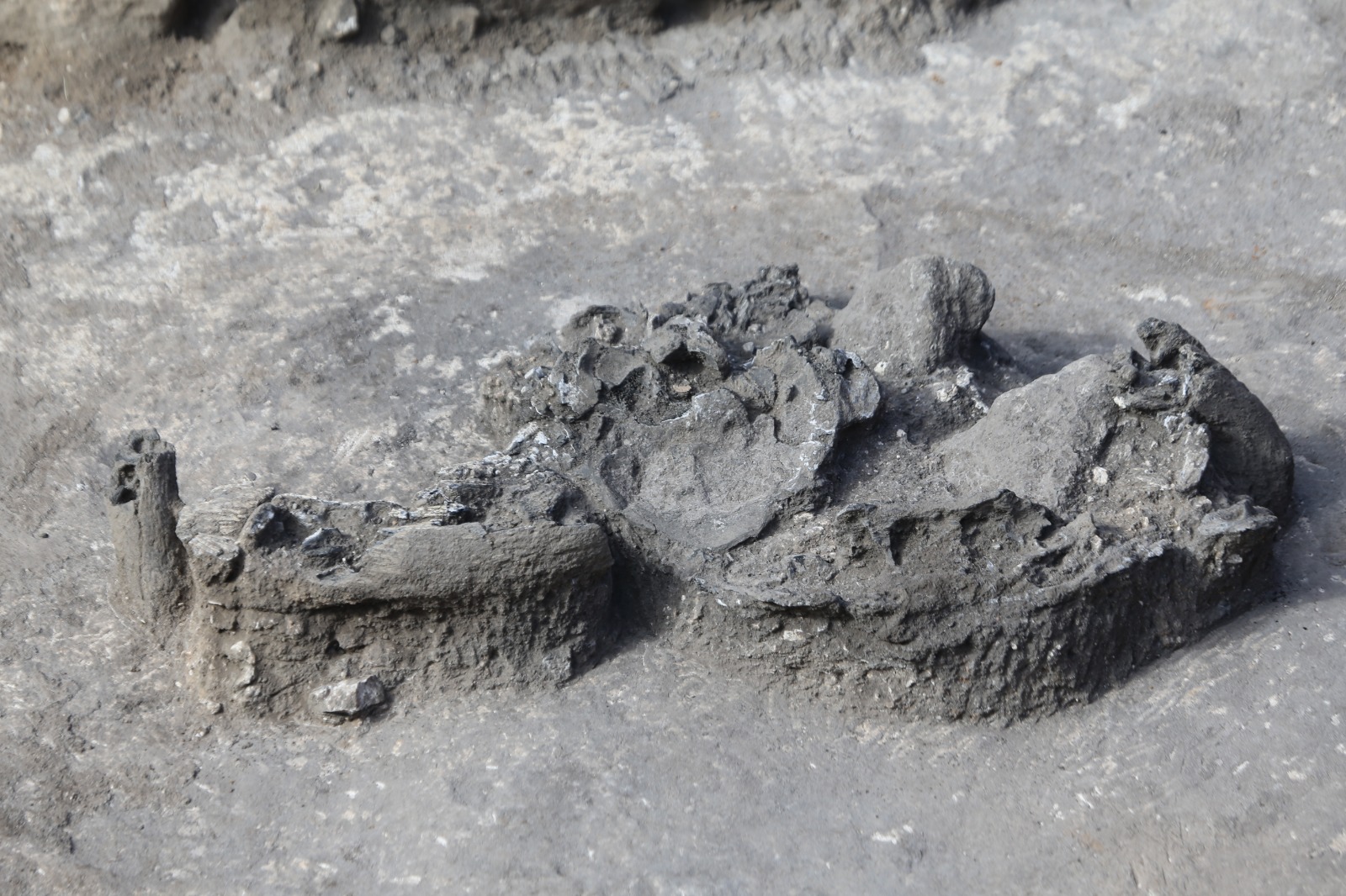 Karahantepe kazı alanında leopar kemiklerine rastlandı-2