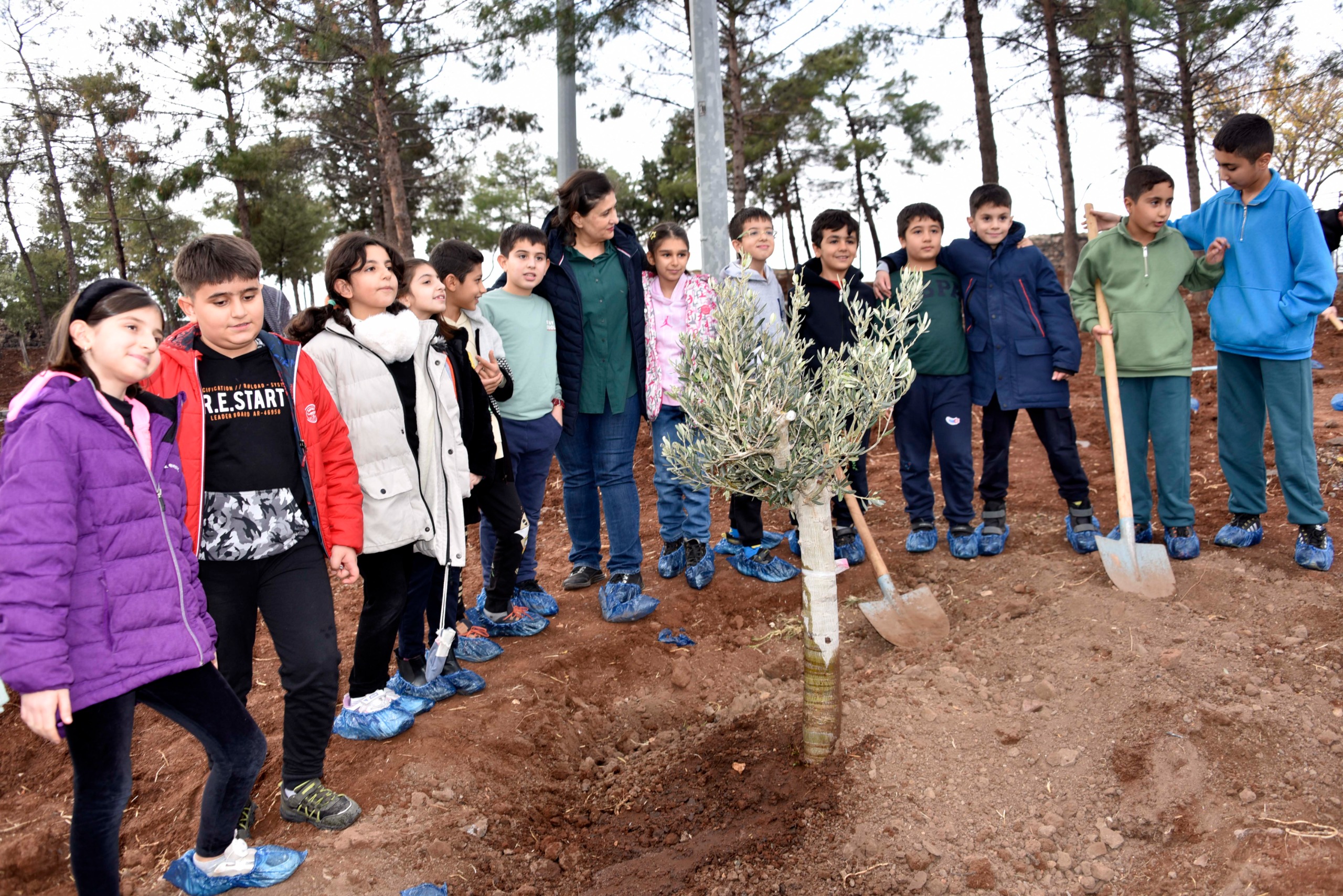 Öğretmen, Öğrenci ve Veliler Siverek Kalesinde Ağaç Dikti