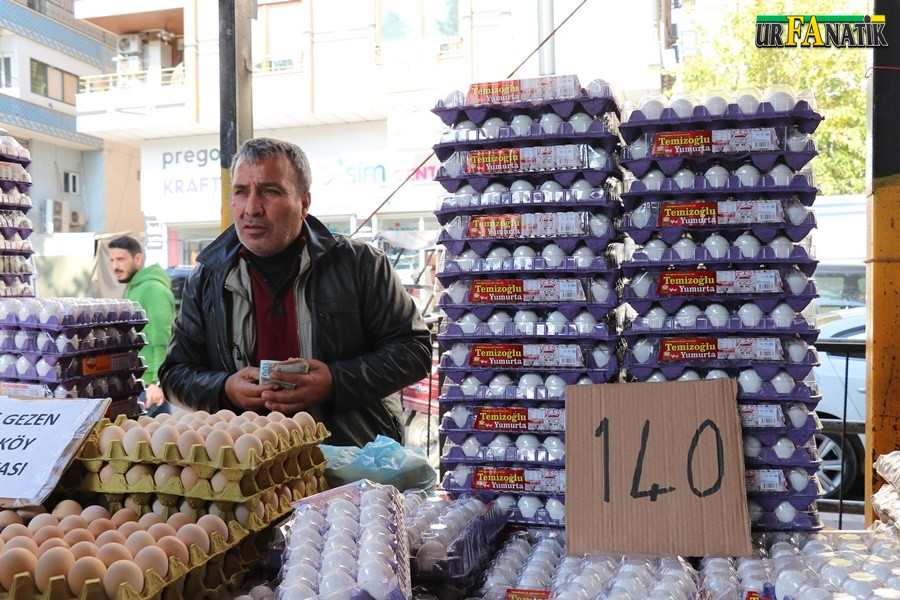 Yumurta Fiyatları Neden Bu Kadar Yükseldi (4)