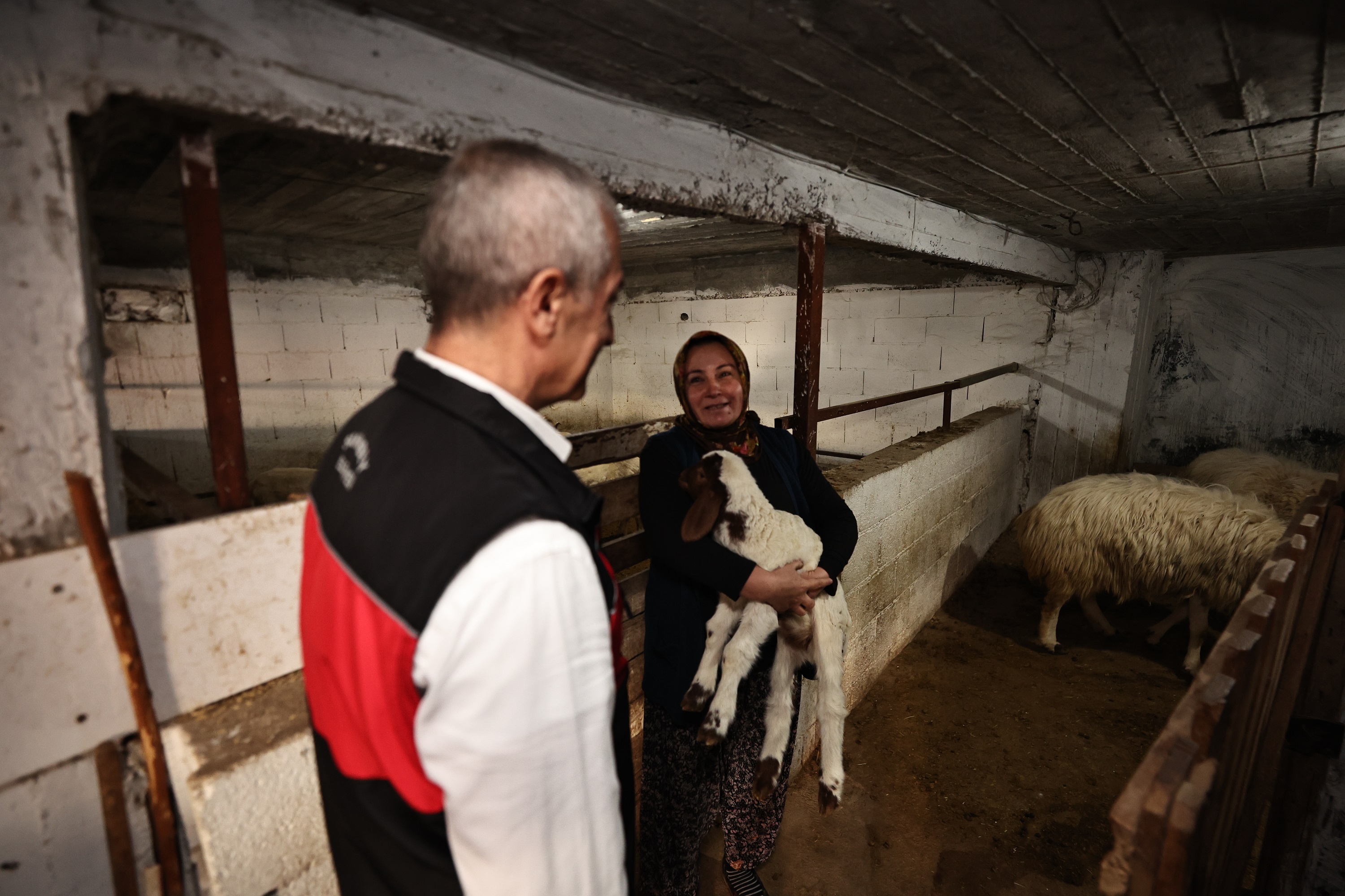 Başkan Tahmazoğlu “Hayvancılığa Desteğimiz Sürecek”-1